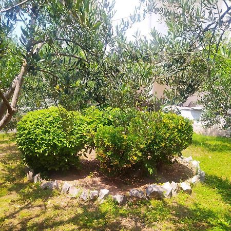 Apartmani Trubi 2 Vodice Bagian luar foto